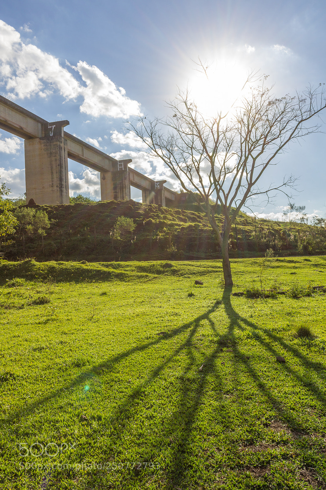 Canon EOS 1200D (EOS Rebel T5 / EOS Kiss X70 / EOS Hi) sample photo. Ponte do esqueleto photography