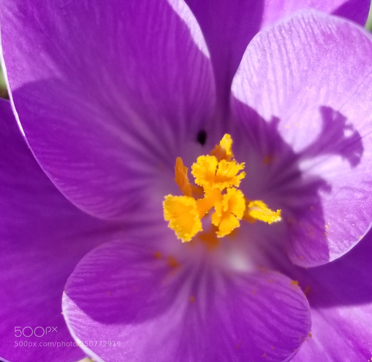 Samsung Galaxy S8 sample photo. Untitled photography