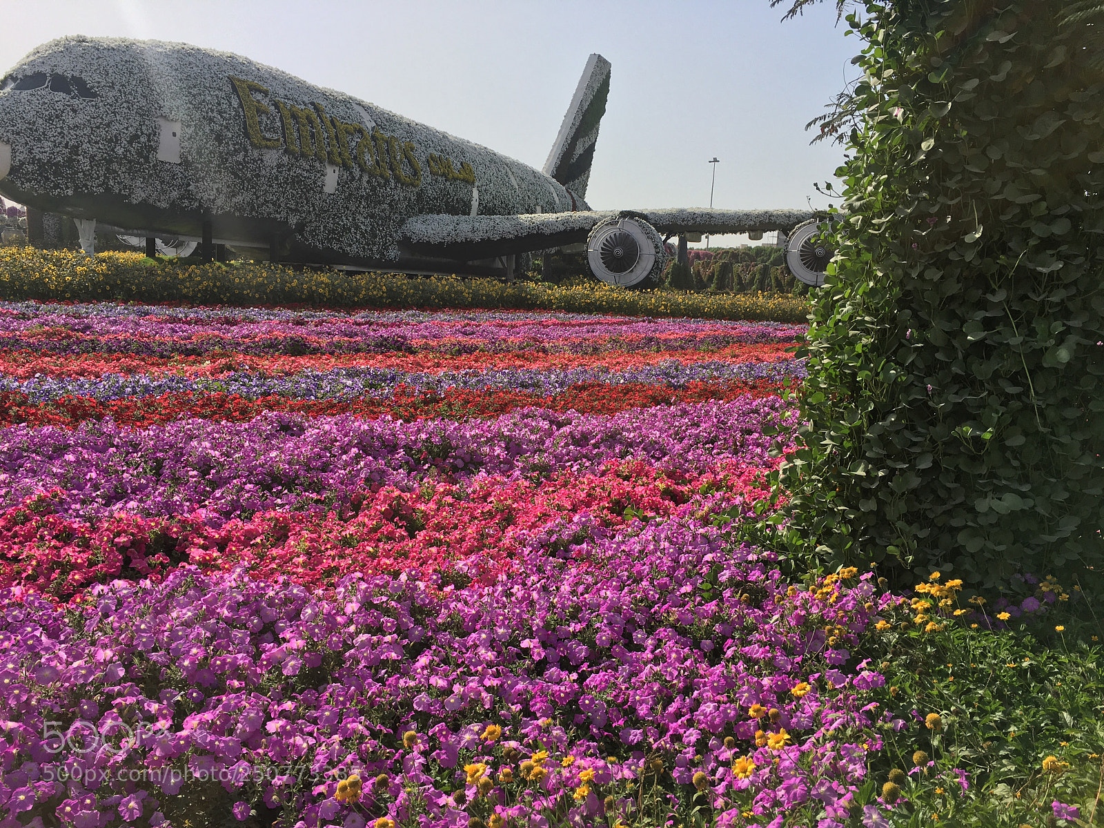 Apple iPhone 6s sample photo. Spring in dubai photography