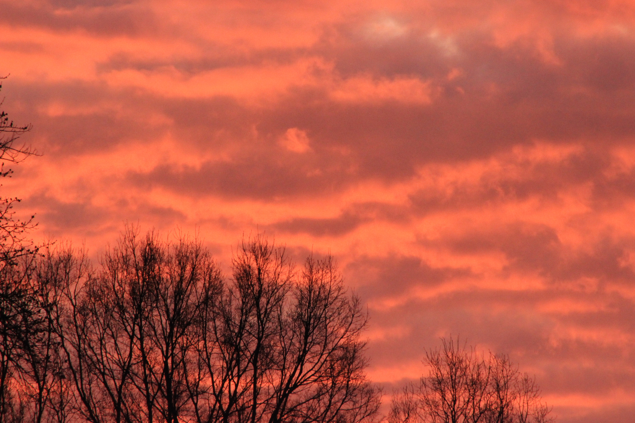 Canon EOS 100D (EOS Rebel SL1 / EOS Kiss X7) sample photo. Beautiful morning photography