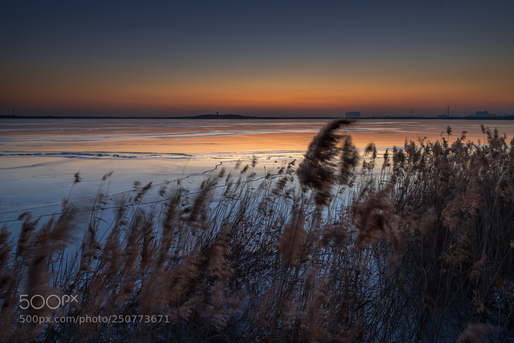 Canon EOS 6D Mark II sample photo. A smoggy dawn photography