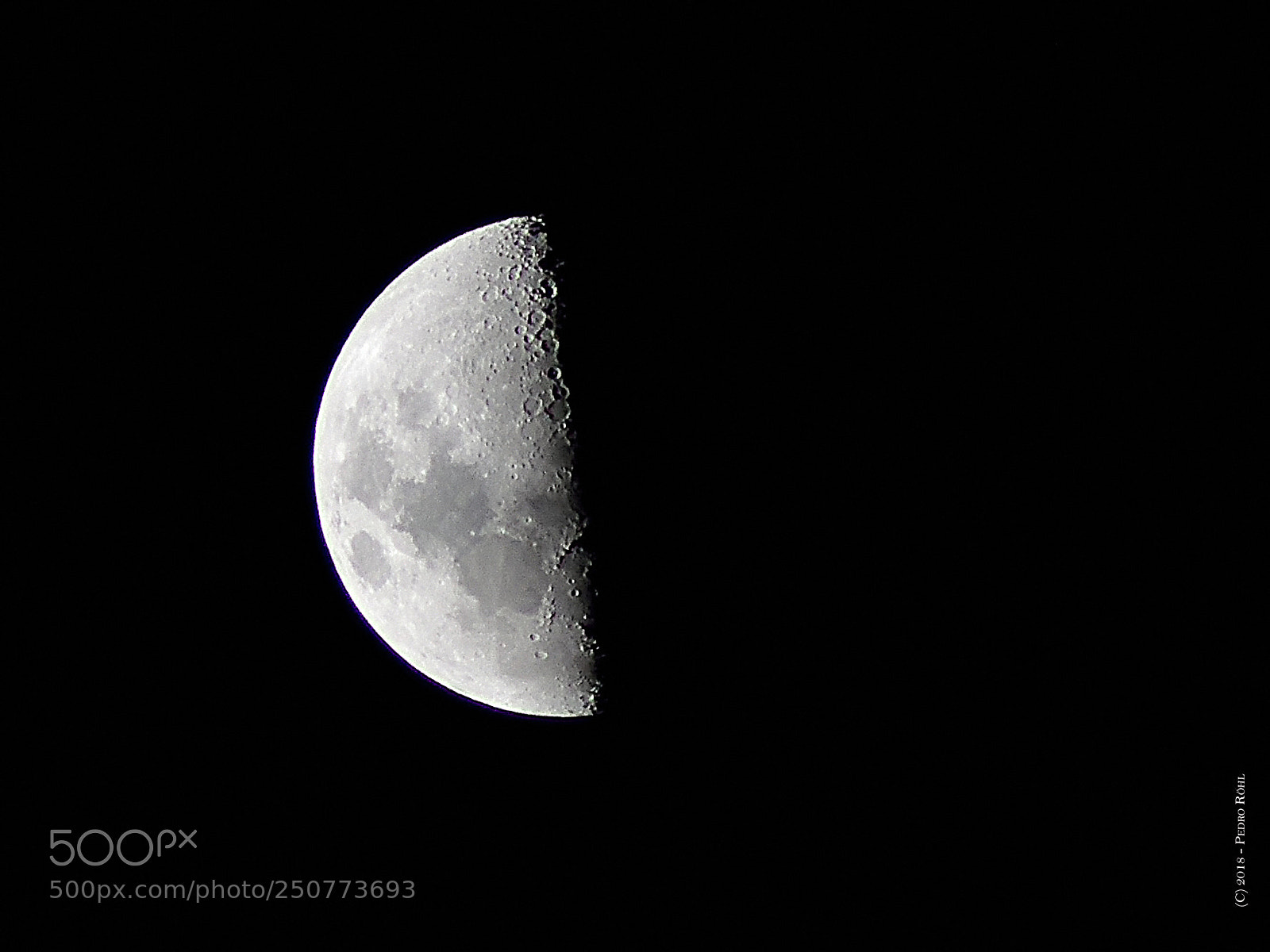 Nikon D3300 sample photo. Autumn moon photography