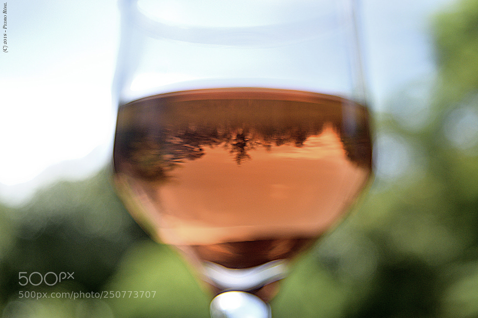 Nikon D3300 sample photo. Portugieser wein photography