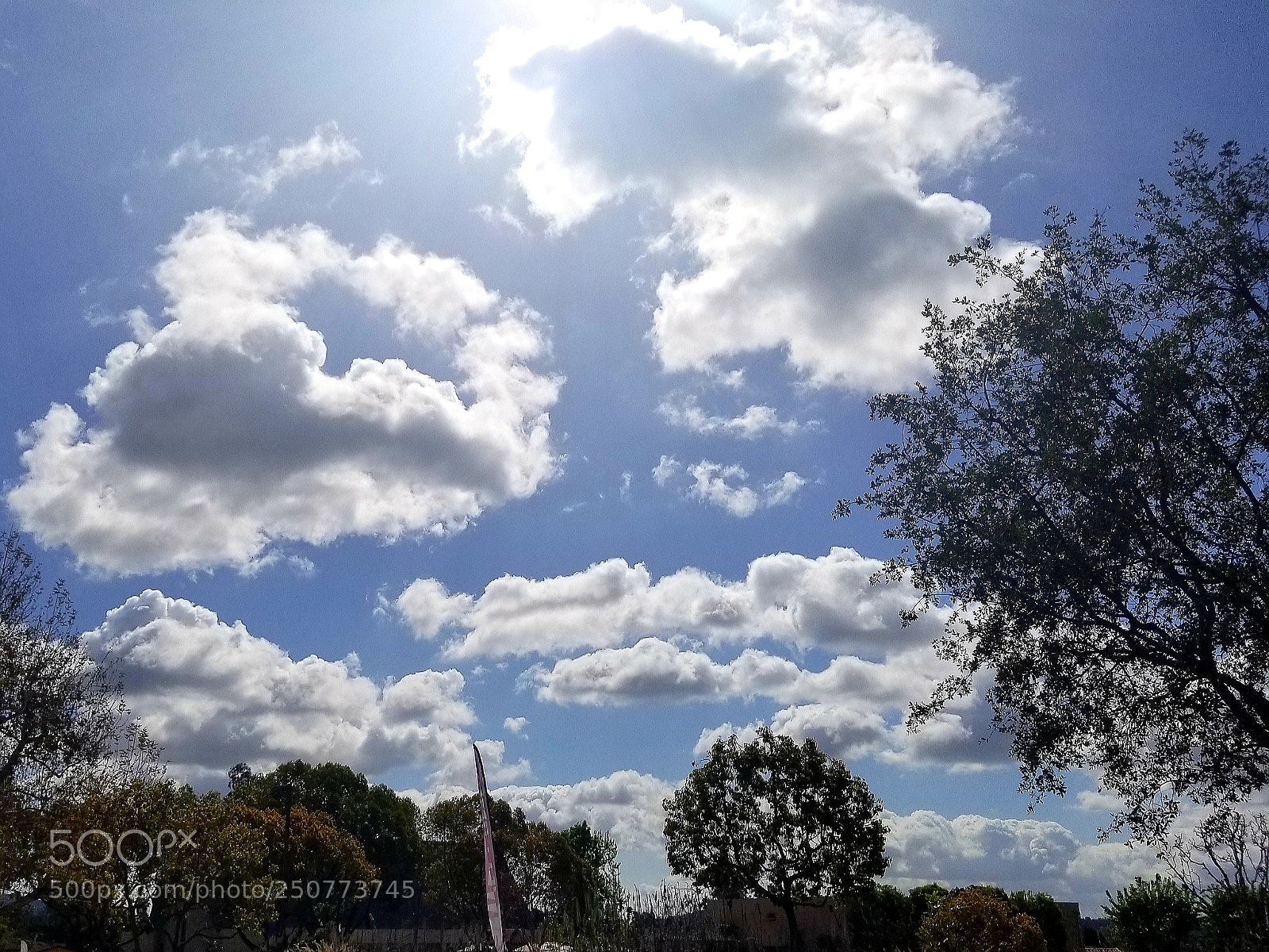 Samsung Galaxy S8+ sample photo. Untitled photography
