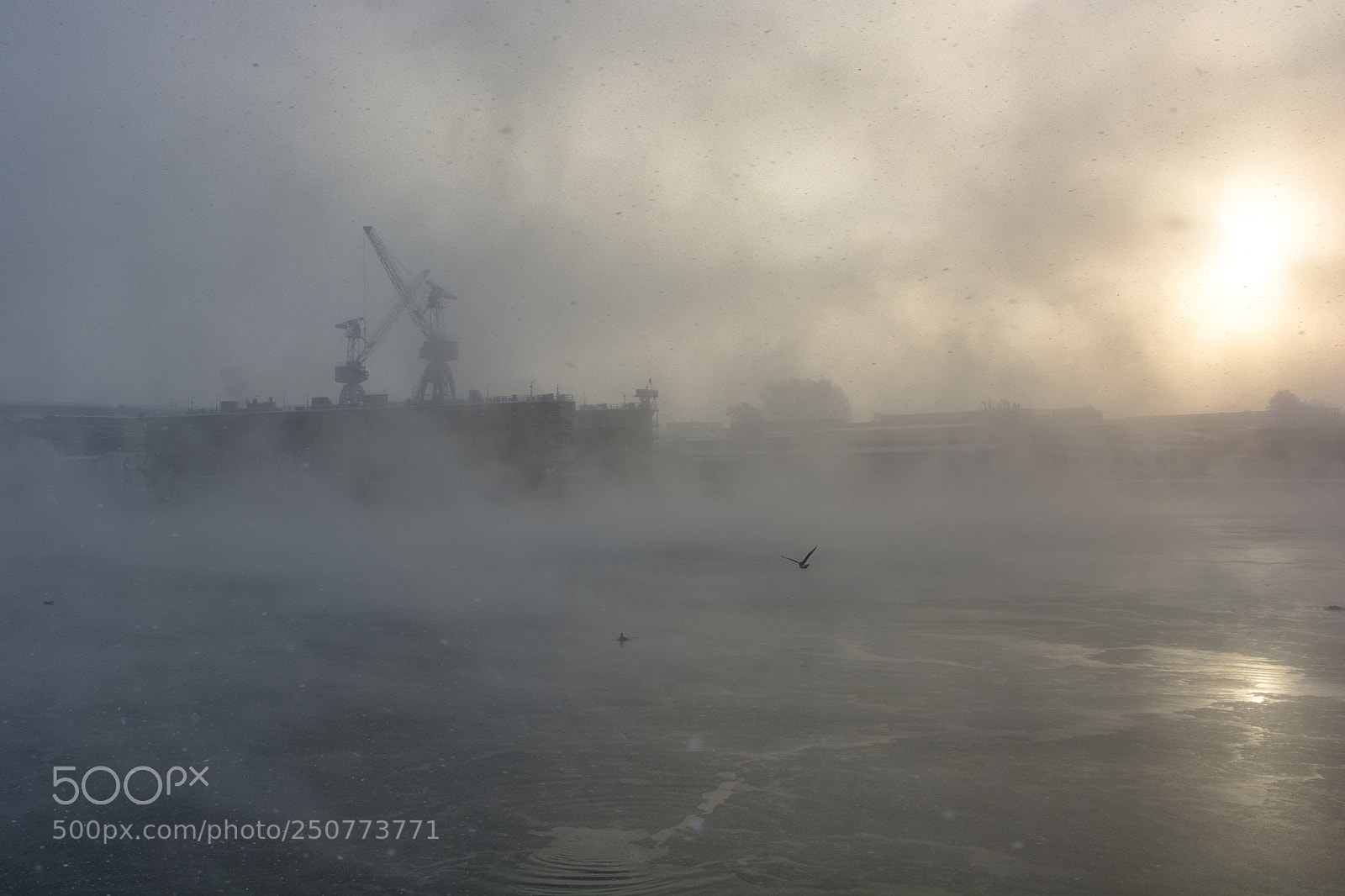 Nikon D7100 sample photo. Shipyard photography