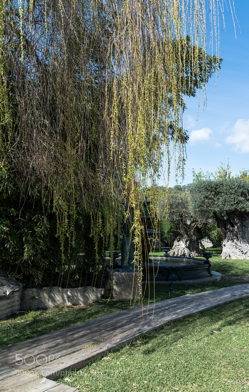 Nikon D7100 sample photo. Natureza photography