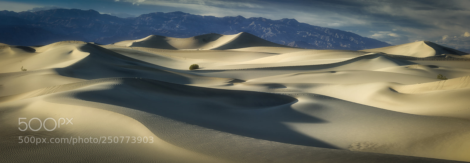 Nikon D810 sample photo. Death valley dunes photography