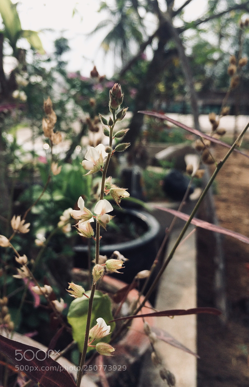 Apple iPhone 5s sample photo. Untitled photography