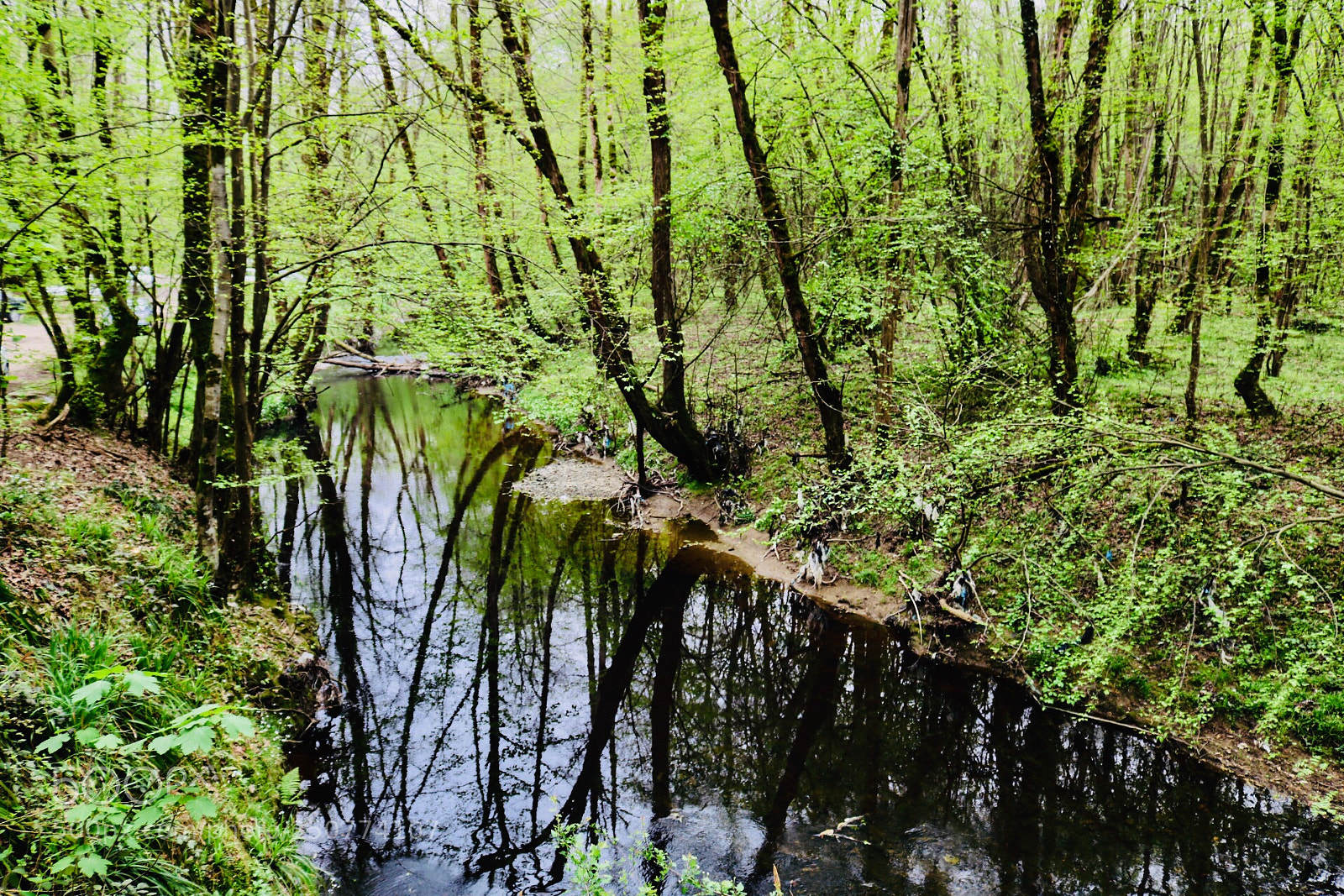 Canon EOS 750D (EOS Rebel T6i / EOS Kiss X8i) sample photo. Riverside2 photography