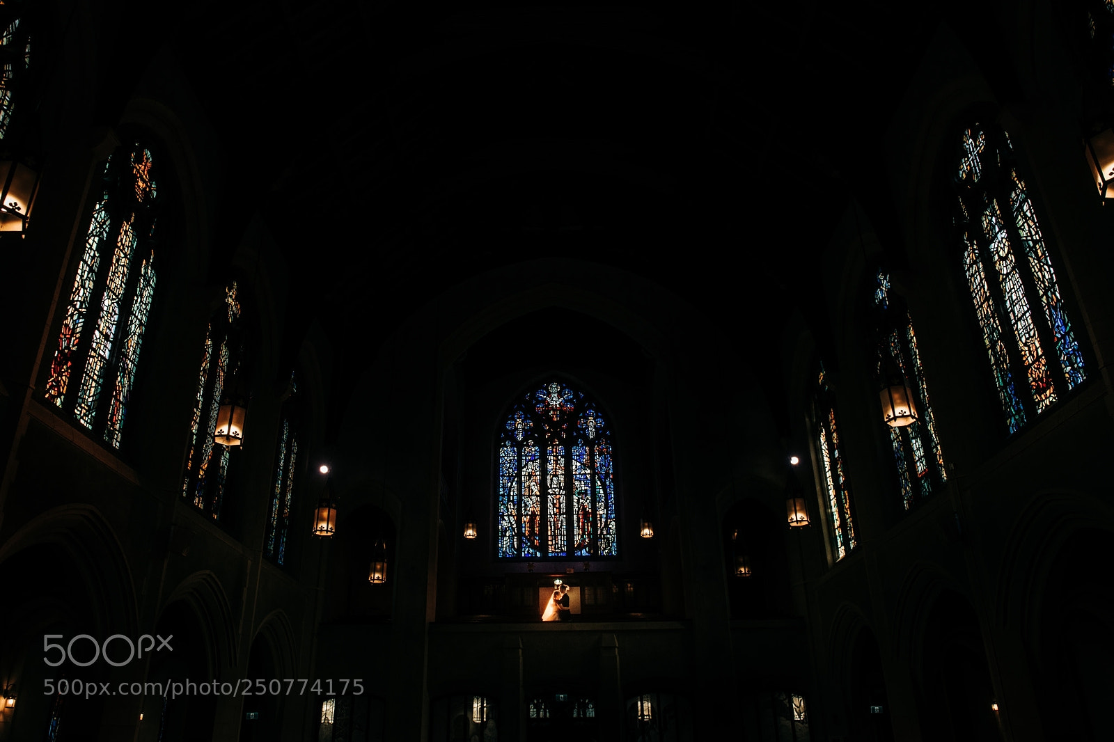 Nikon D850 sample photo. Untitled photography