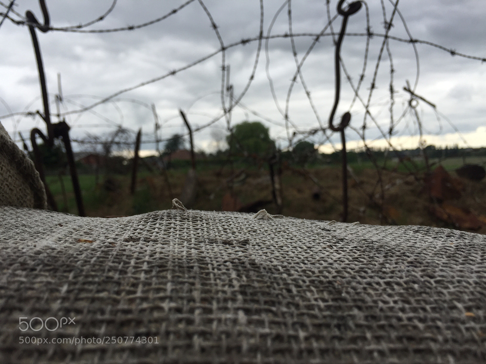 Apple iPhone 6 sample photo. Belgium photography