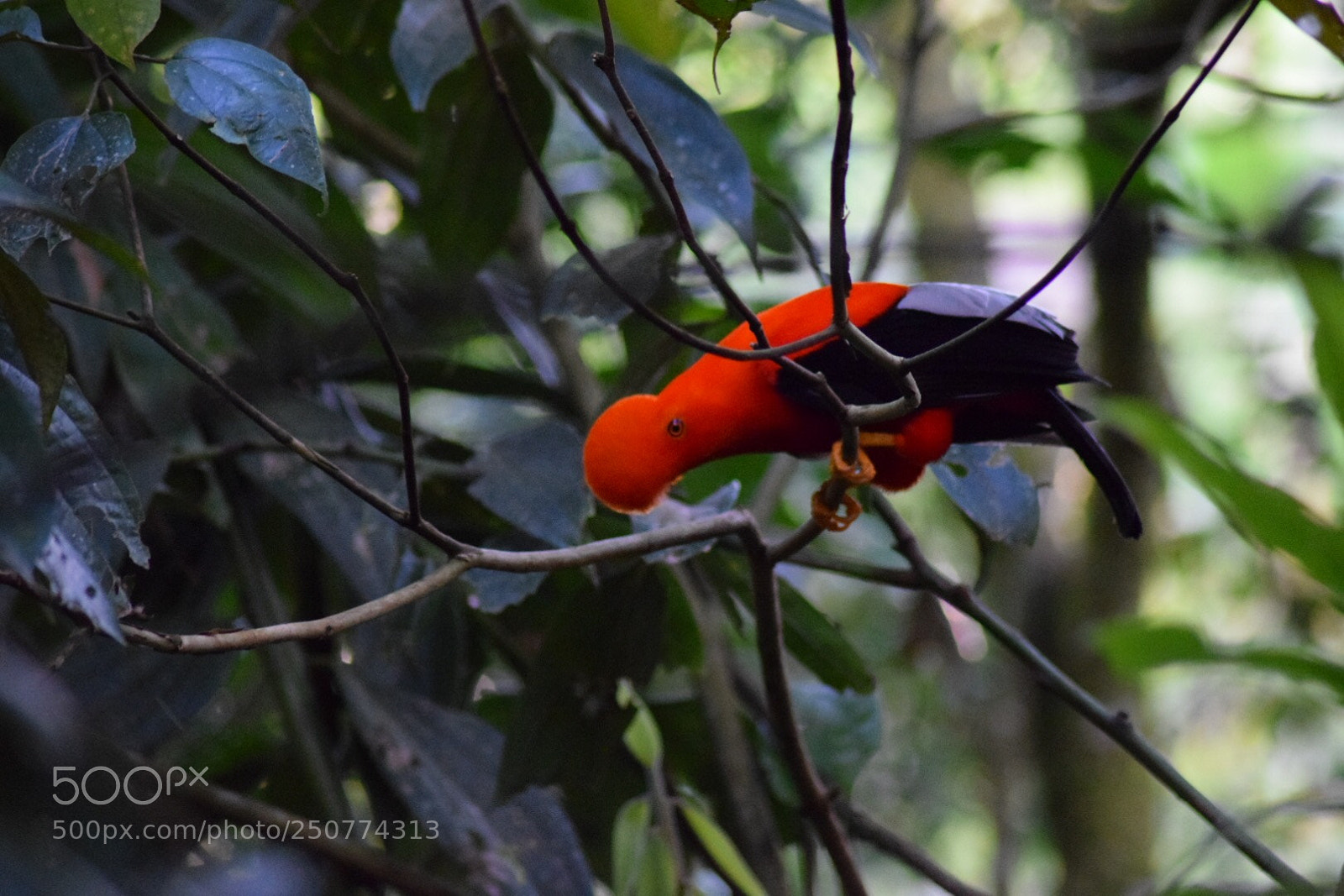 Nikon D5300 sample photo. Untitled photography