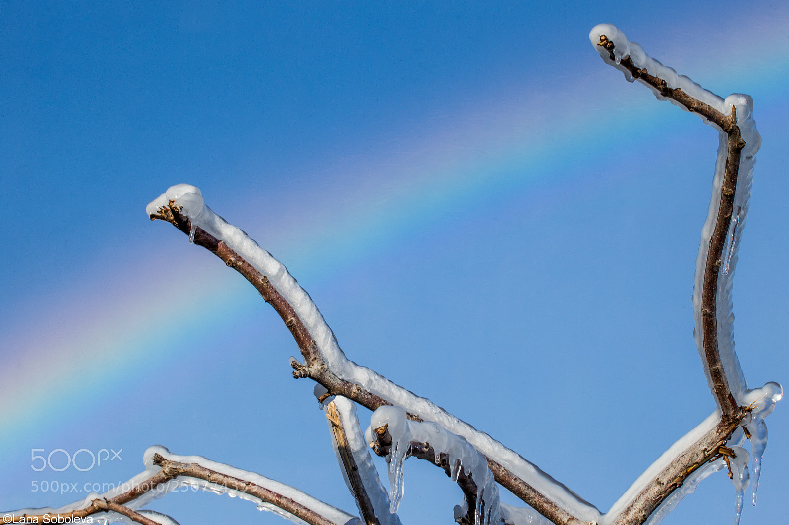 Canon EOS-1D X sample photo. Rainbow and ice photography