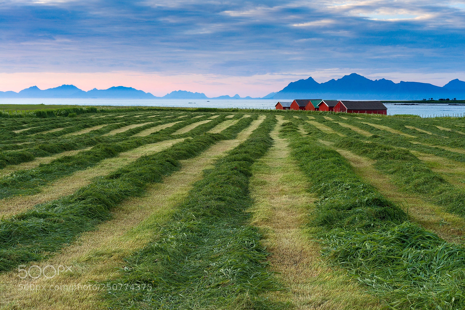 Sony a7R sample photo. A farm in austvagoy photography