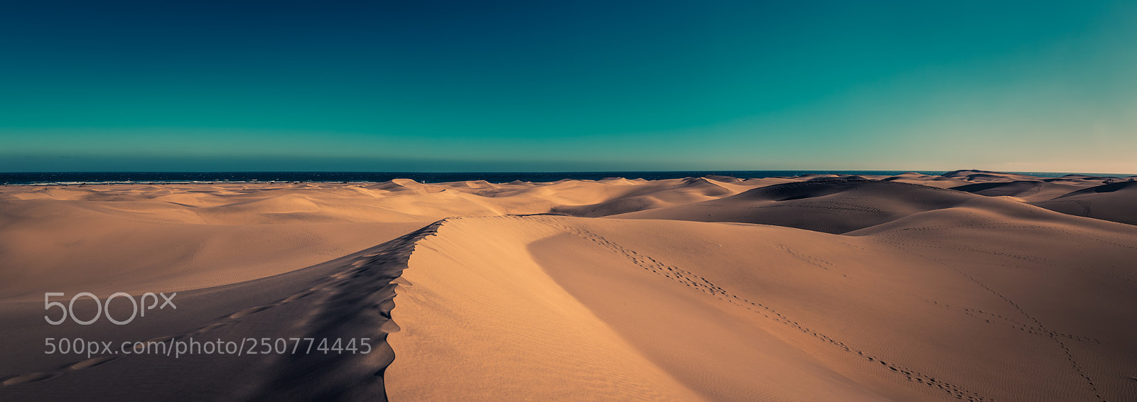 Canon EOS 5D Mark IV sample photo. Dunes of maspalomas, gran photography
