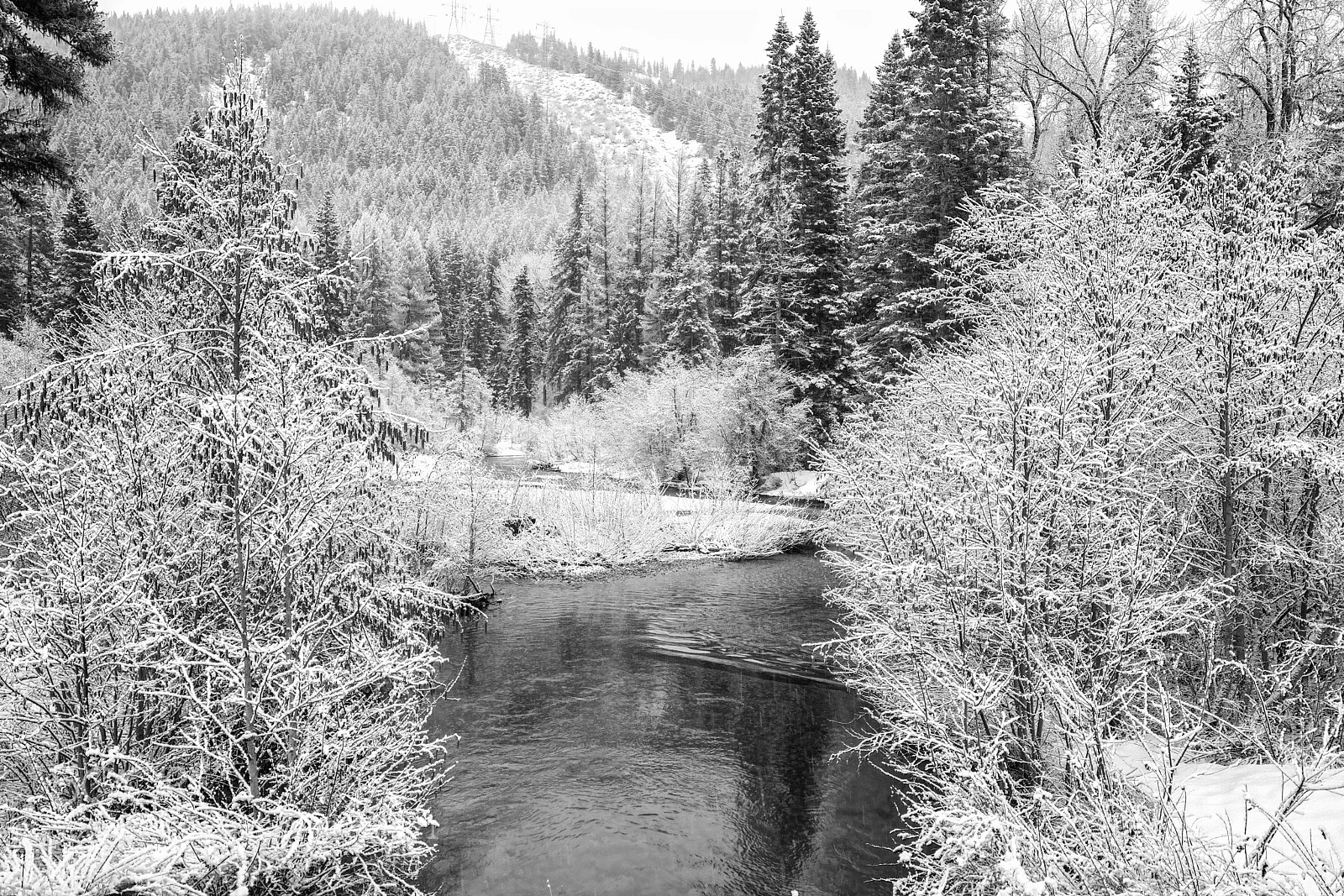 Nikon D800 sample photo. Fresh snow photography