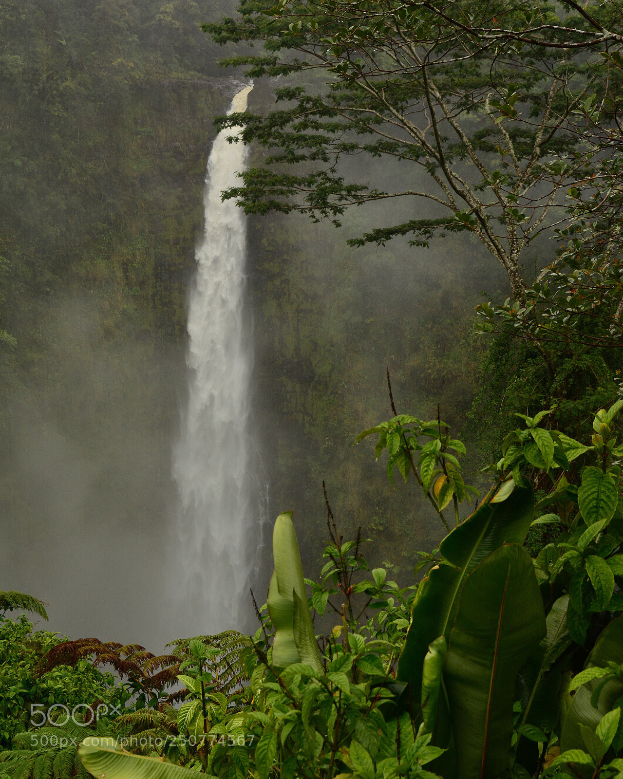Nikon D7100 sample photo. Captured within a dream photography