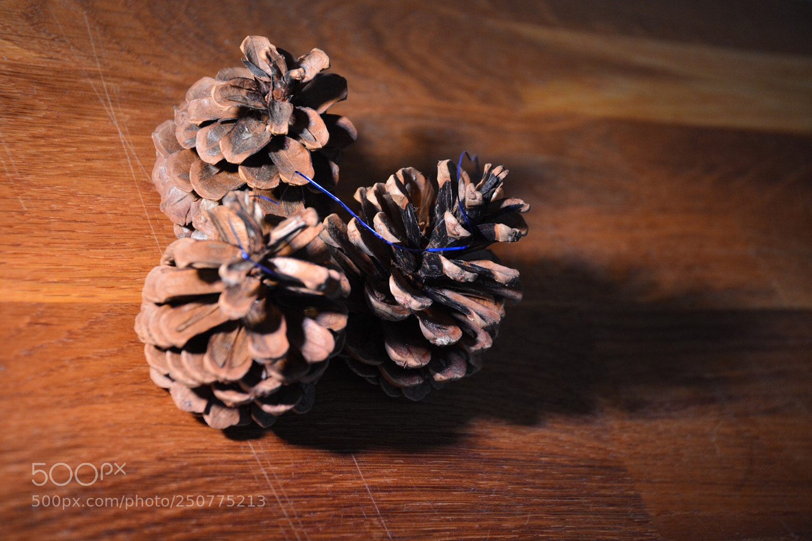 Nikon D5200 sample photo. Les pommes de pains  photography