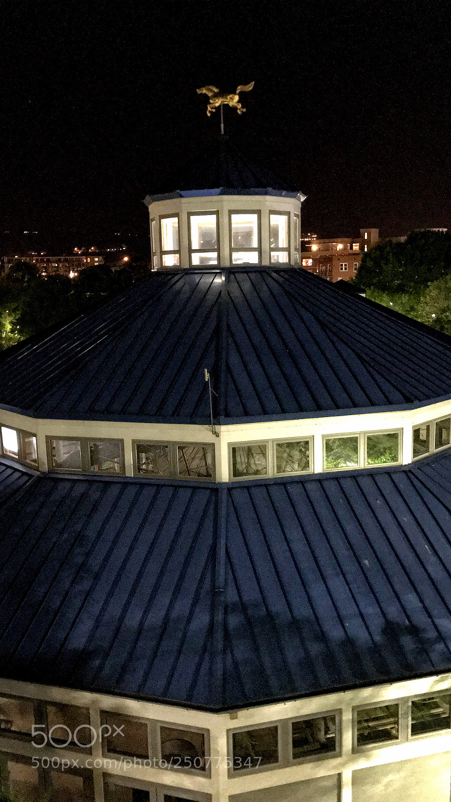 Apple iPhone 7 sample photo. Carousel at night photography