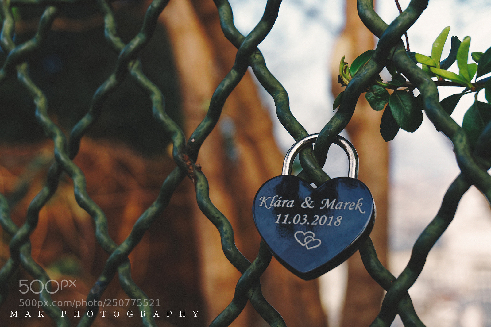 Sony a6000 sample photo. Locked photography