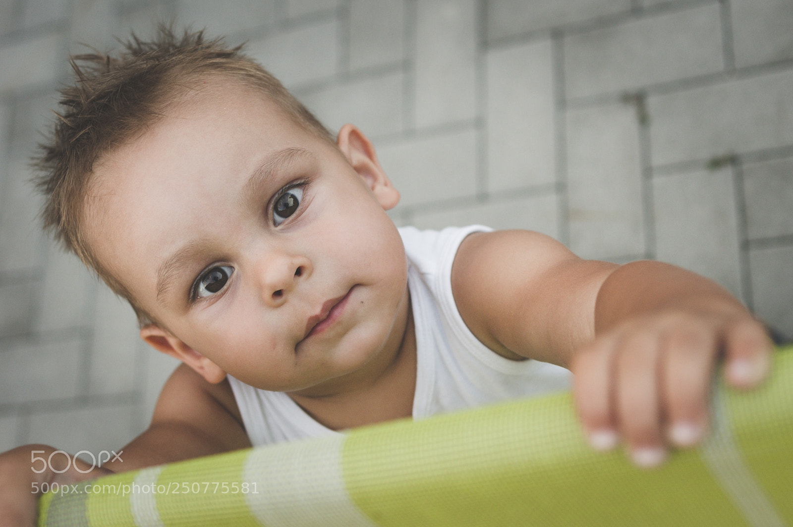 Pentax K-3 sample photo. Damian photography