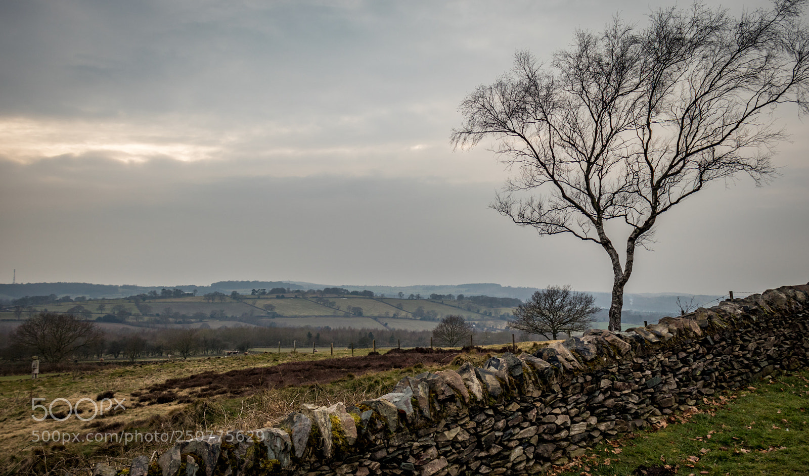 Canon EOS 77D (EOS 9000D / EOS 770D) sample photo. Countryside landscape photography