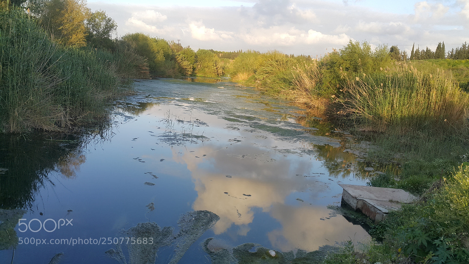 Samsung Galaxy Note4 sample photo. Saloren river photography