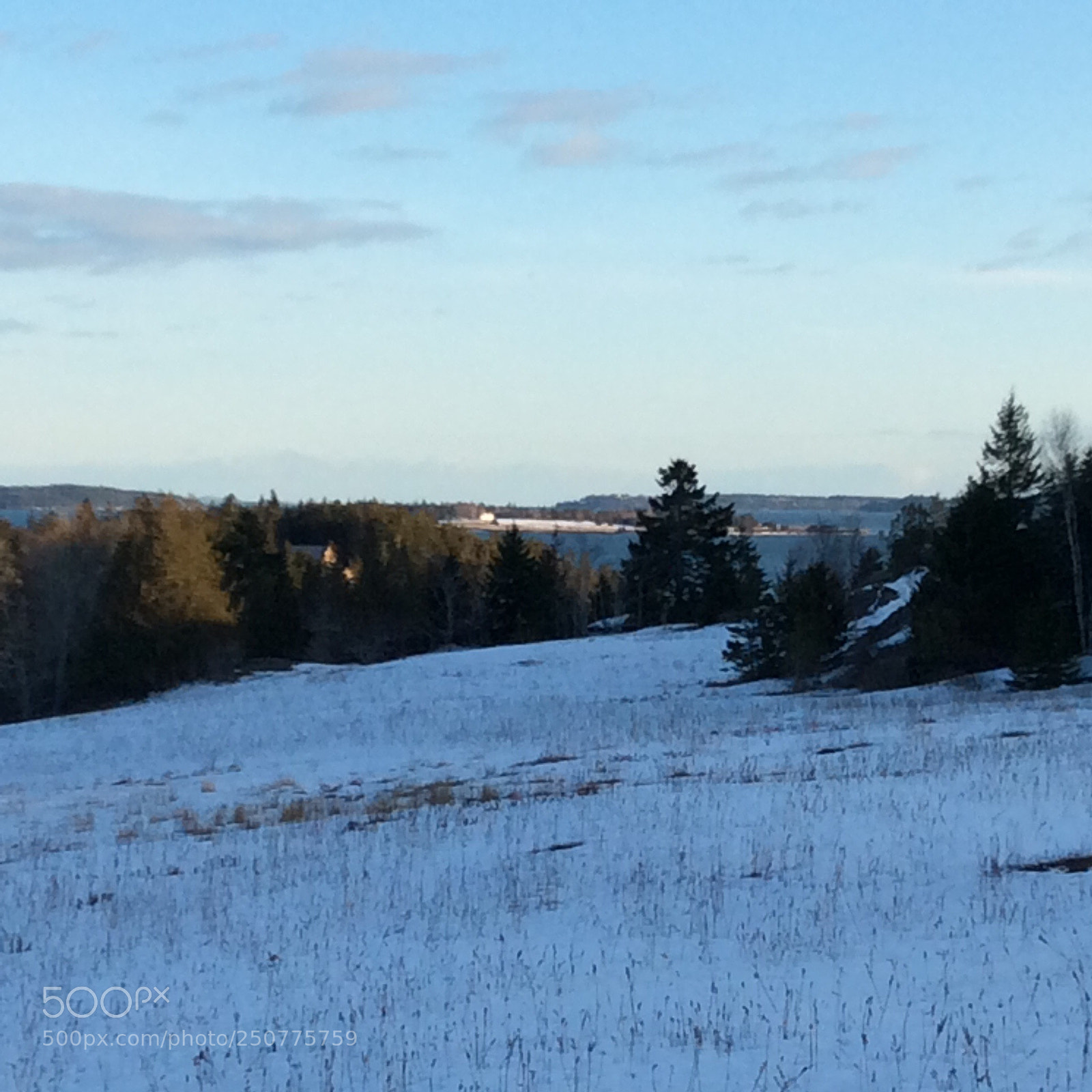 Apple iPad mini 2 sample photo. The view in maine photography