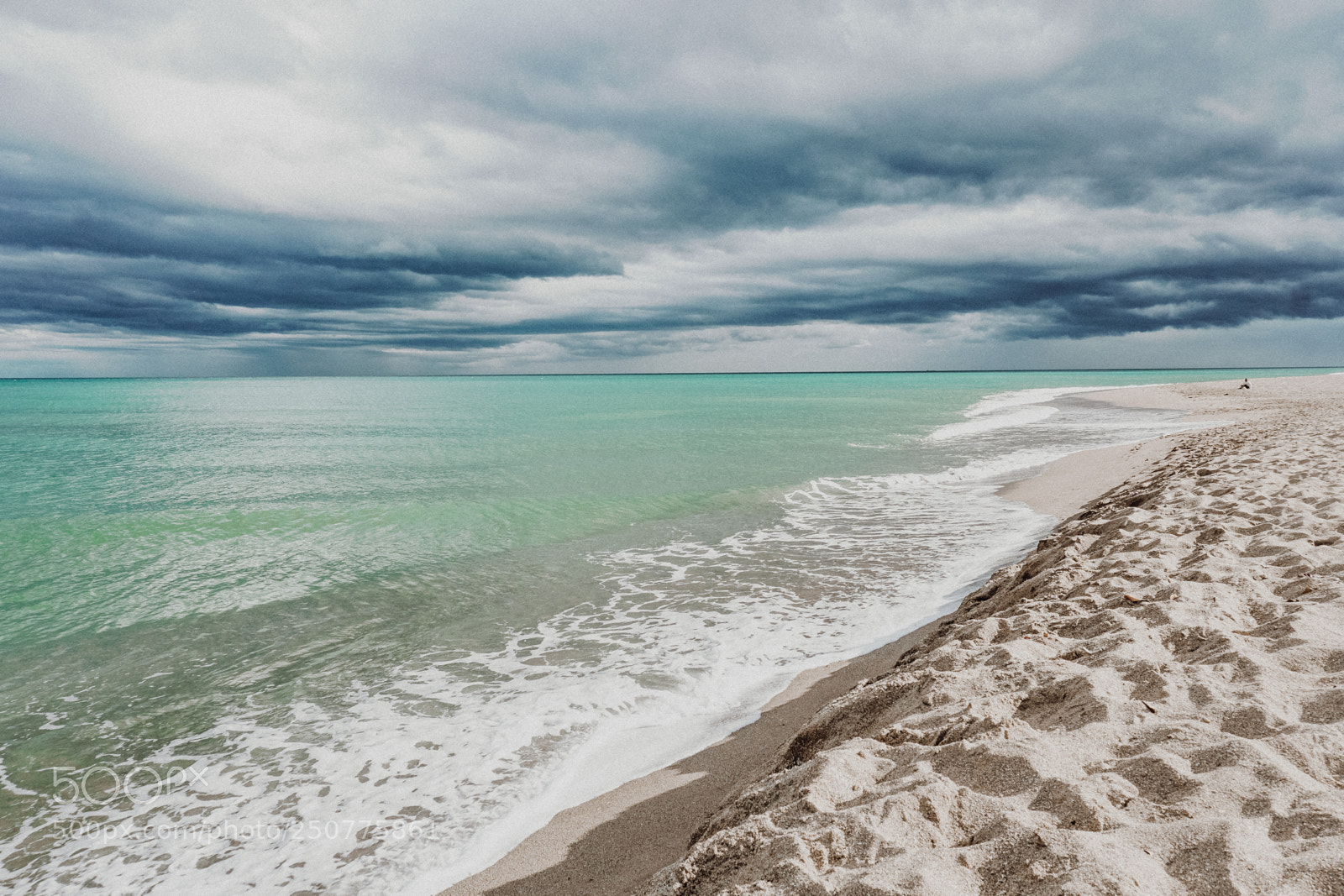 Sony a6300 sample photo. Tropical photography
