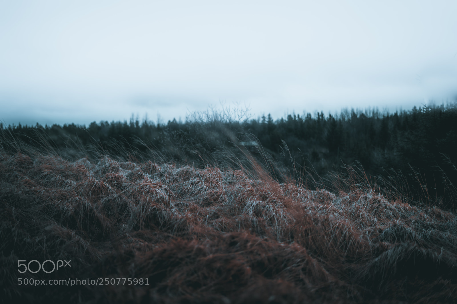 Sony a7 sample photo. Fade photography