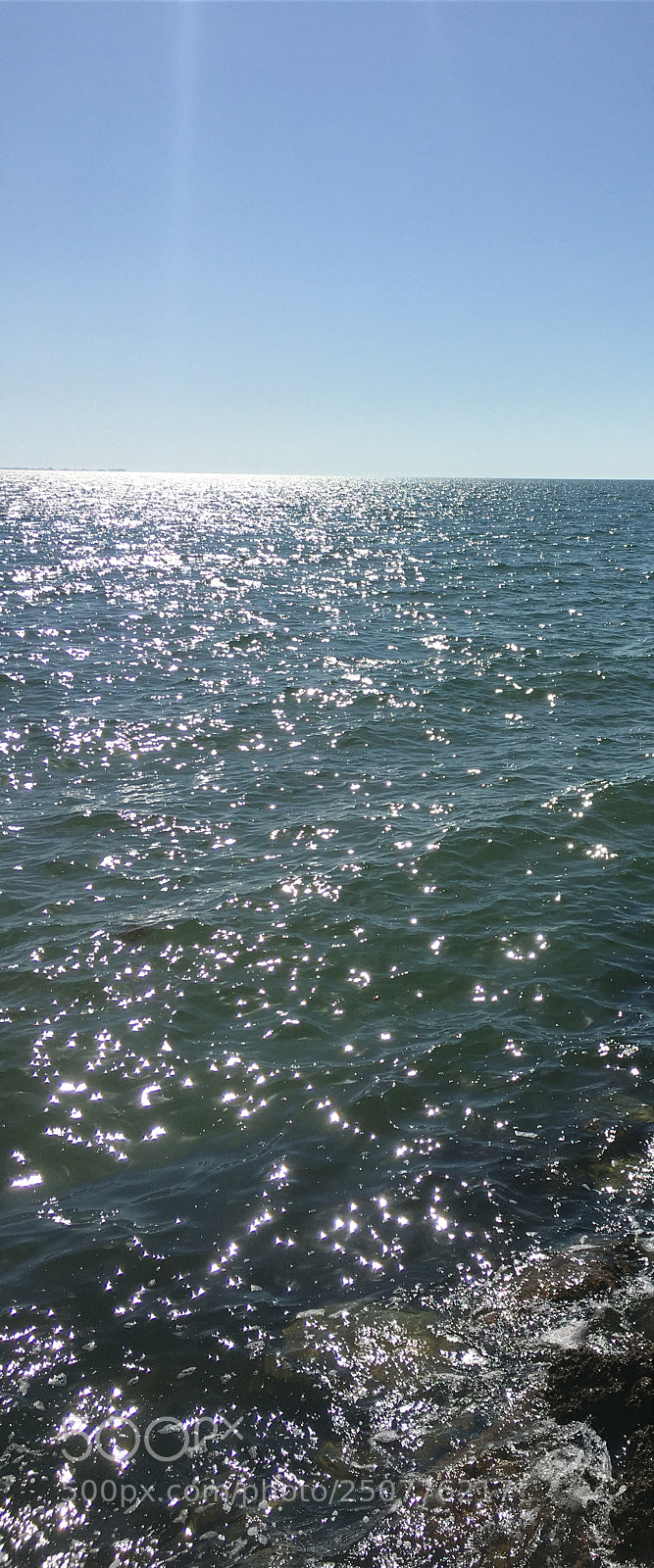 Apple iPhone 6s sample photo. Florida nature photography