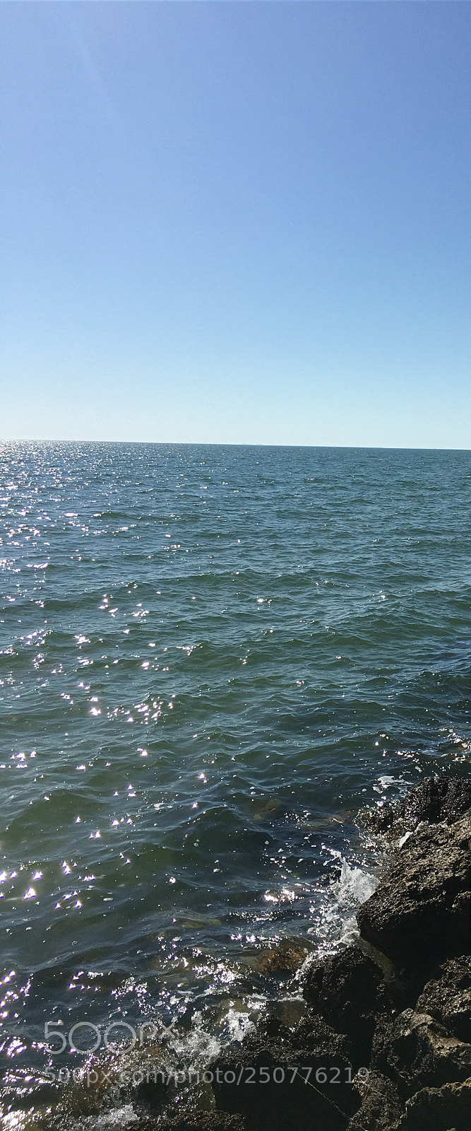 Apple iPhone 6s sample photo. Florida nature photography
