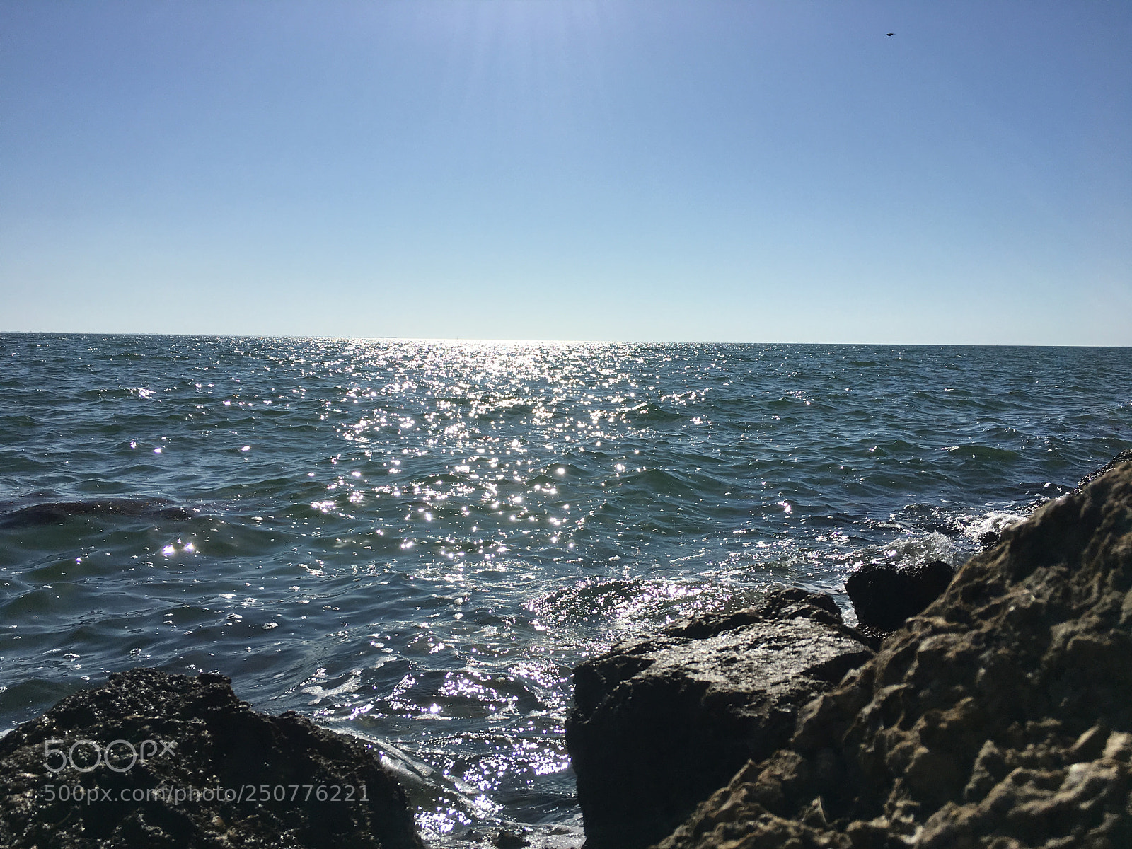 Apple iPhone 6s sample photo. Florida nature photography