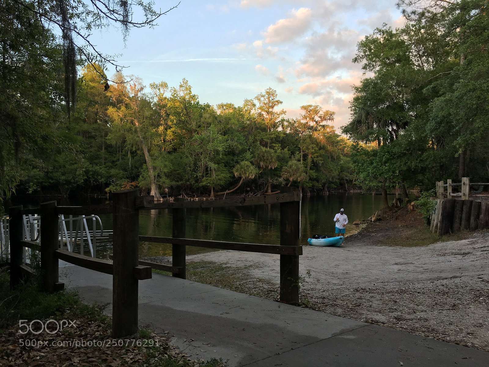 Apple iPhone 6s sample photo. Florida nature photography