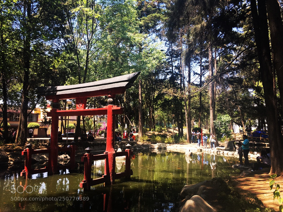 Apple iPhone SE sample photo. Jardín japonés photography