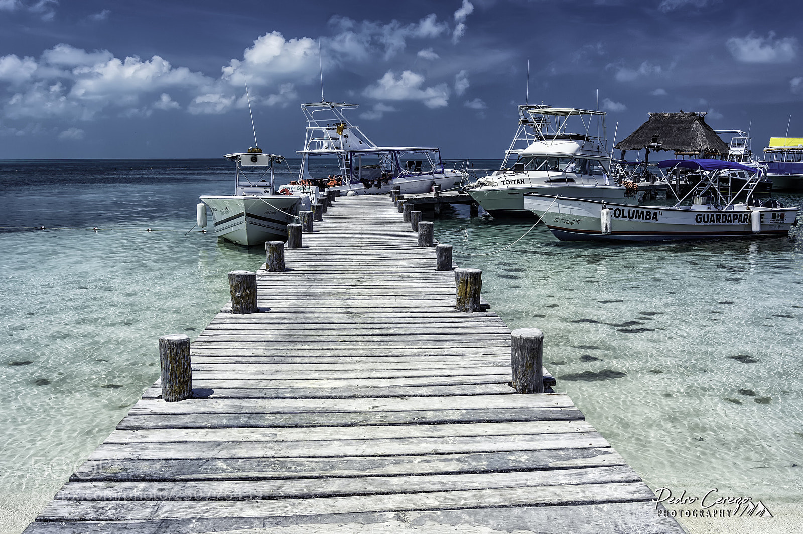 Nikon D3200 sample photo. Contoy island photography