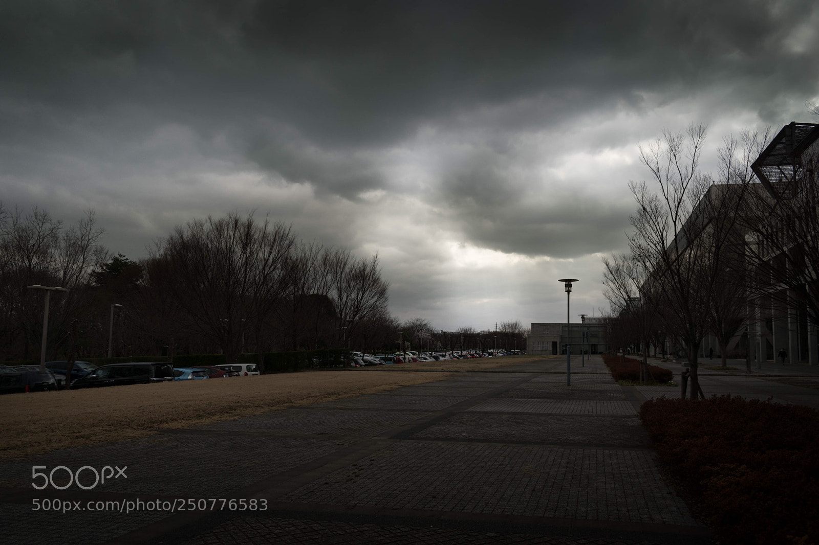 Nikon D5600 sample photo. Untitled photography