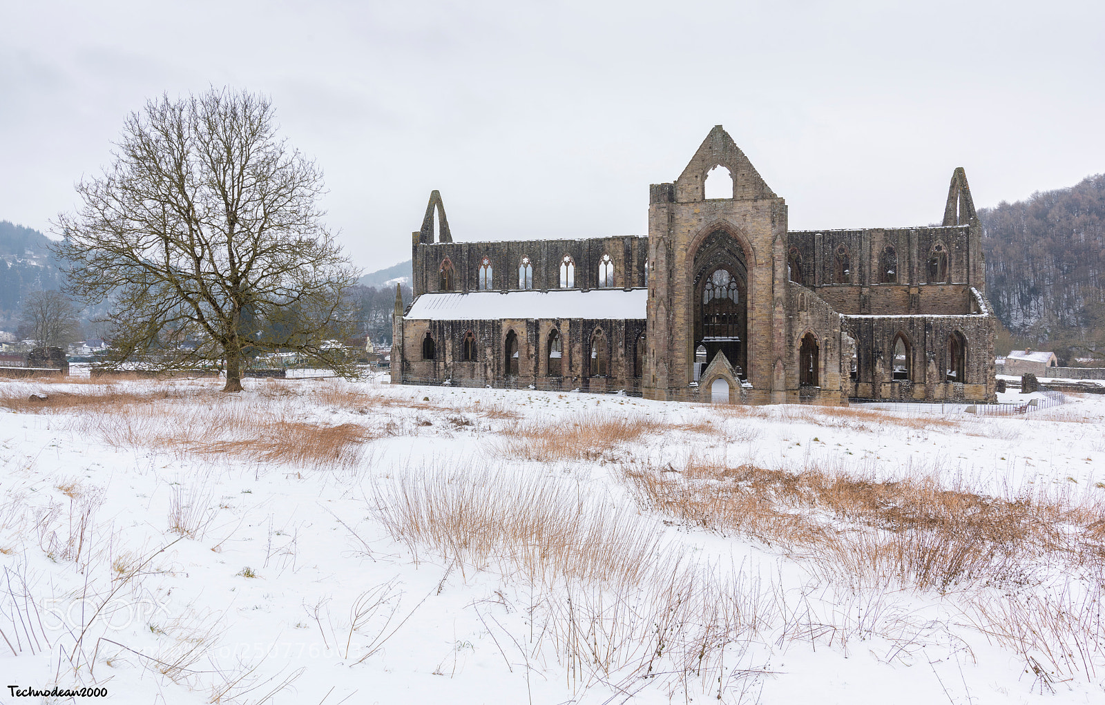 Nikon D810 sample photo. A winters tintern abbey photography