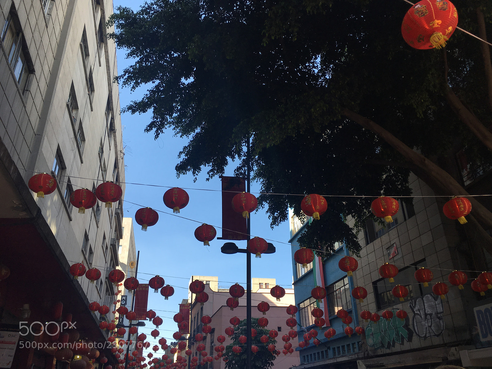 Apple iPhone SE sample photo. Barrio chino photography