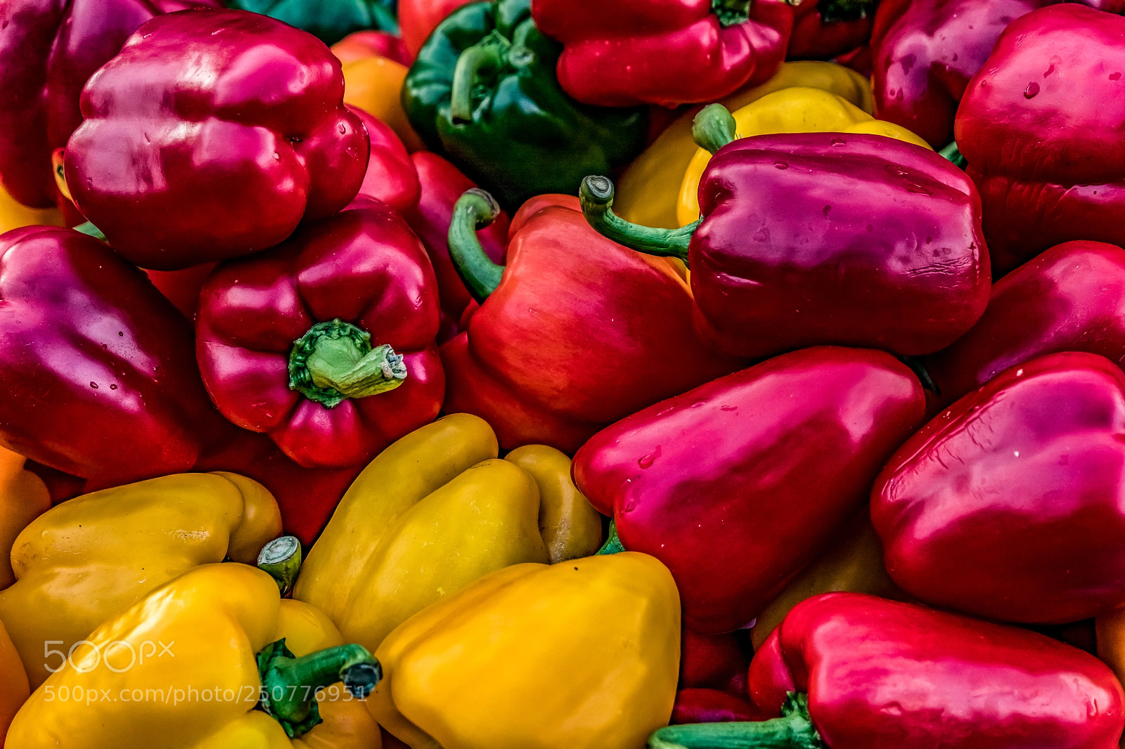 Canon EOS 5D Mark IV sample photo. Peppers a plenty photography