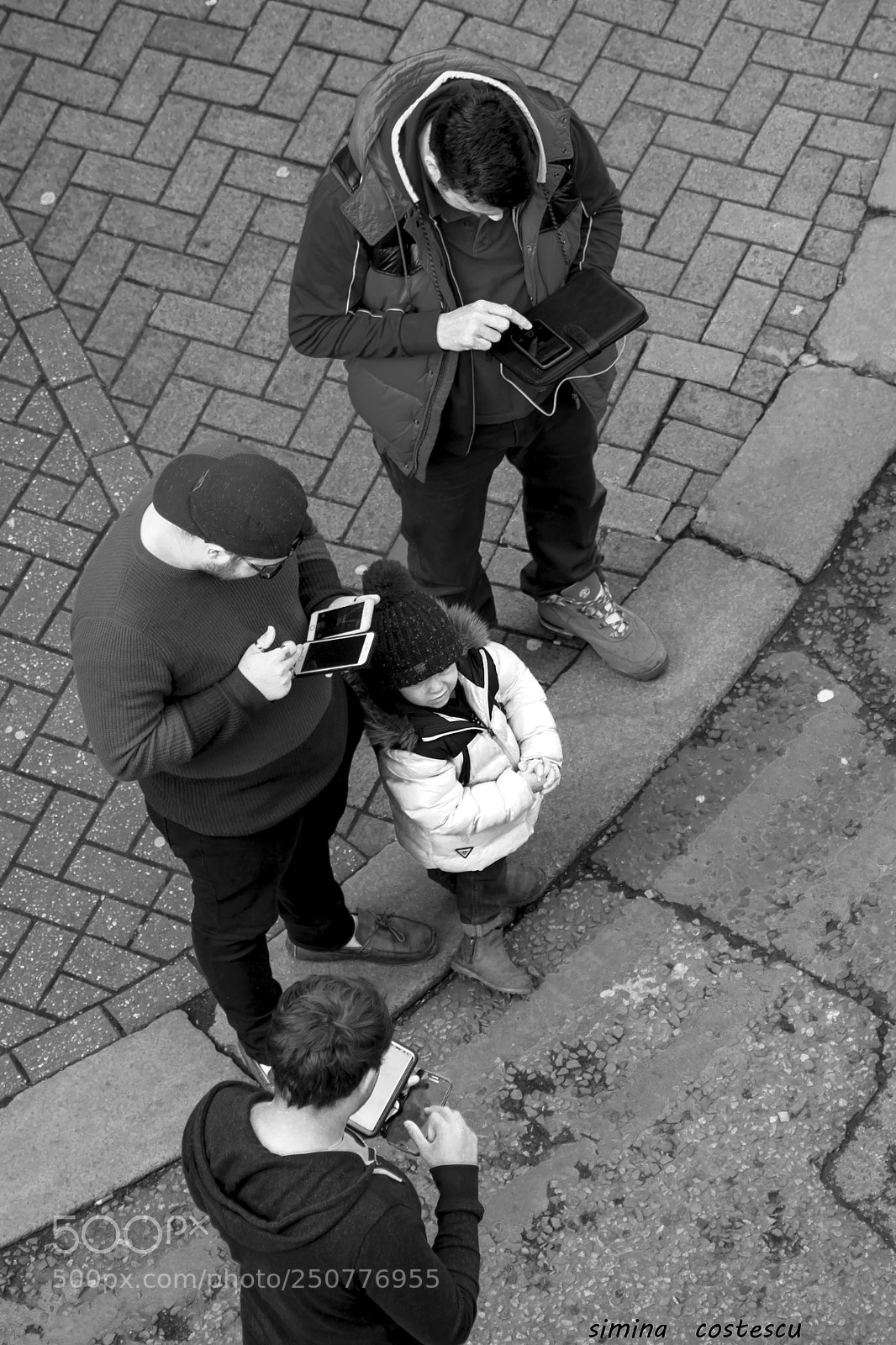Canon EOS 50D sample photo. Head down photography