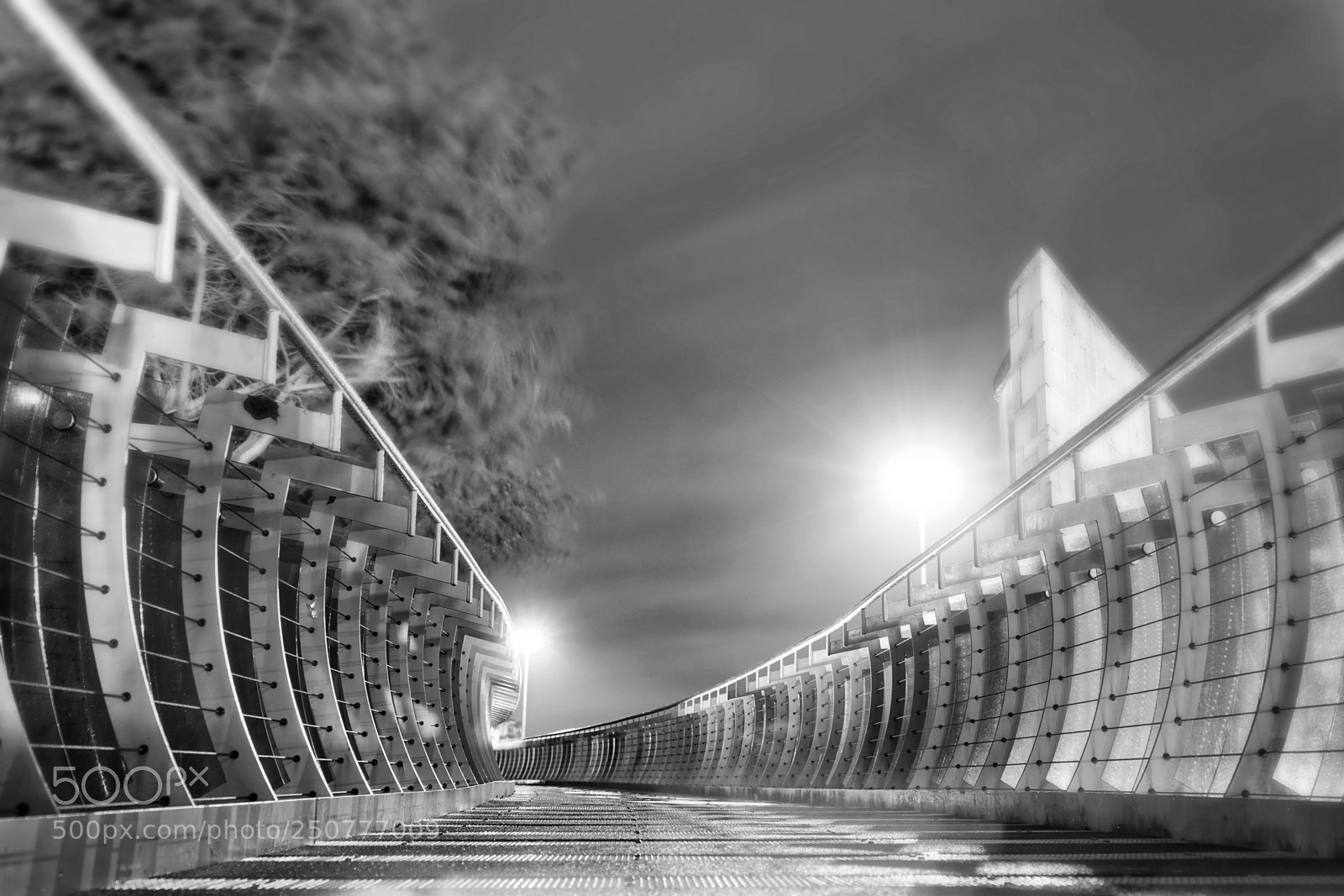 Sony a7 II sample photo. Bridge photography
