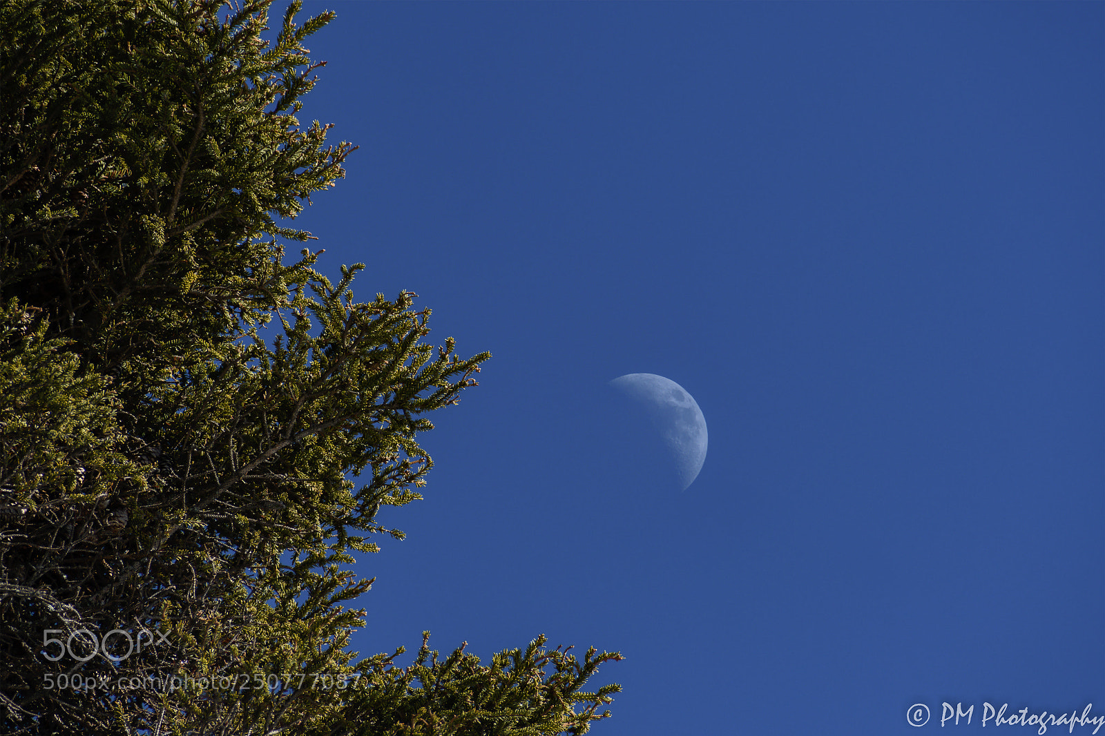 Nikon D500 sample photo. Moon photography