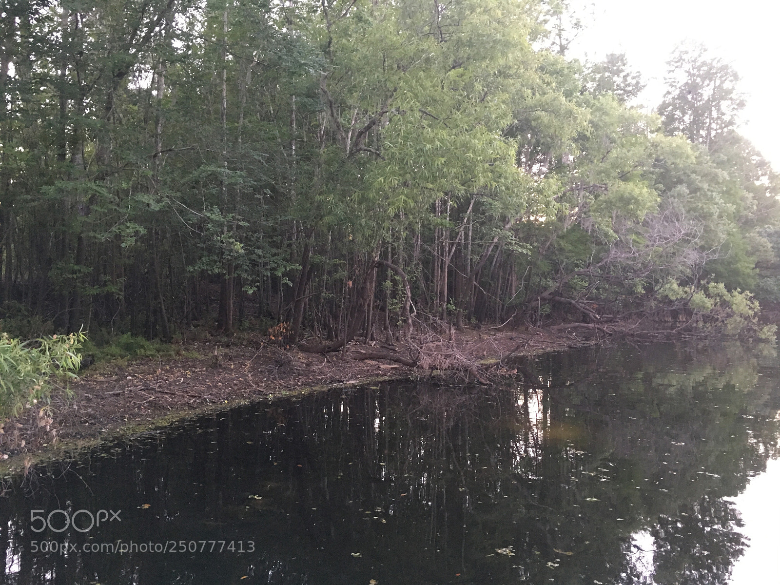 Apple iPhone 6s sample photo. Hillsborough lake side photography