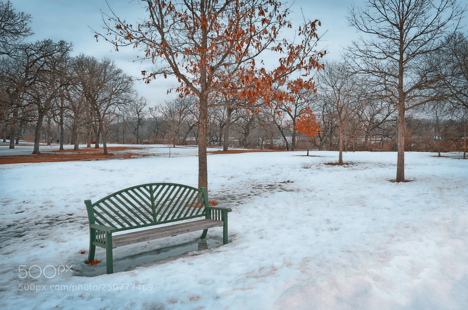 Nikon D90 sample photo. Park bench in snow photography