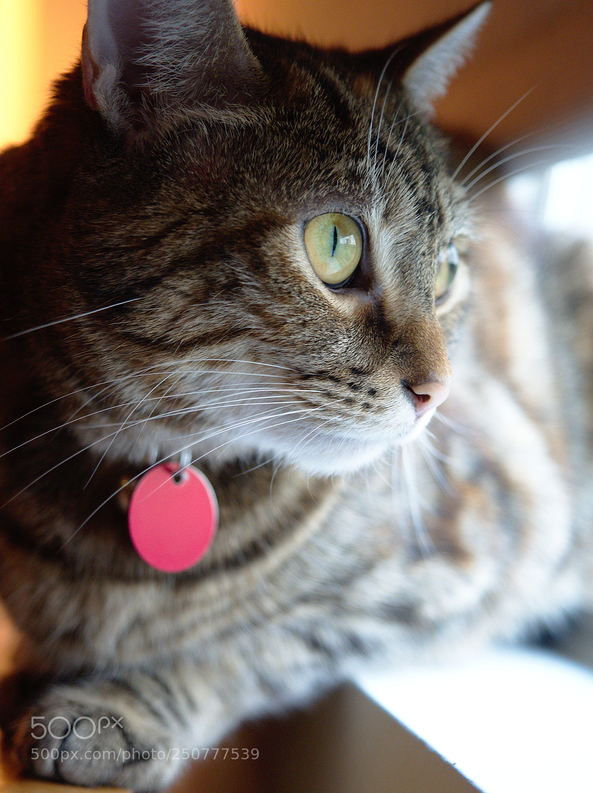 Olympus OM-D E-M5 II sample photo. Test run of om-d photography
