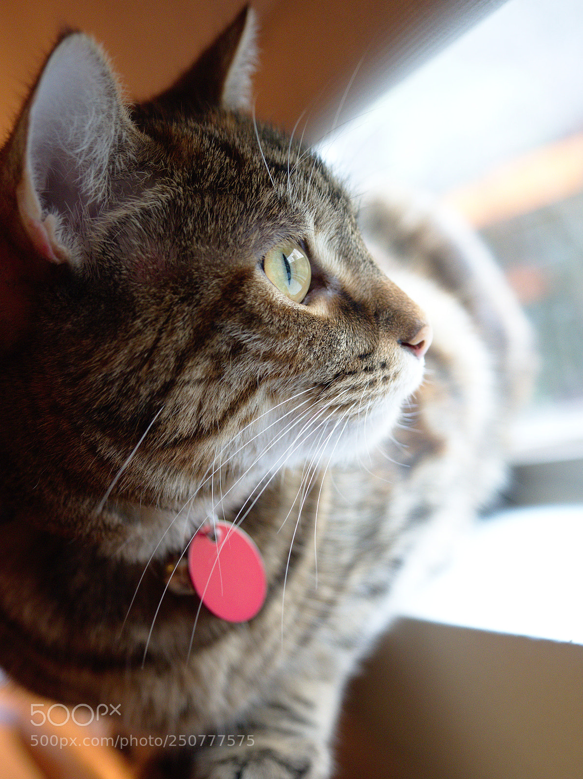 Olympus OM-D E-M5 II sample photo. Test run of om-d photography