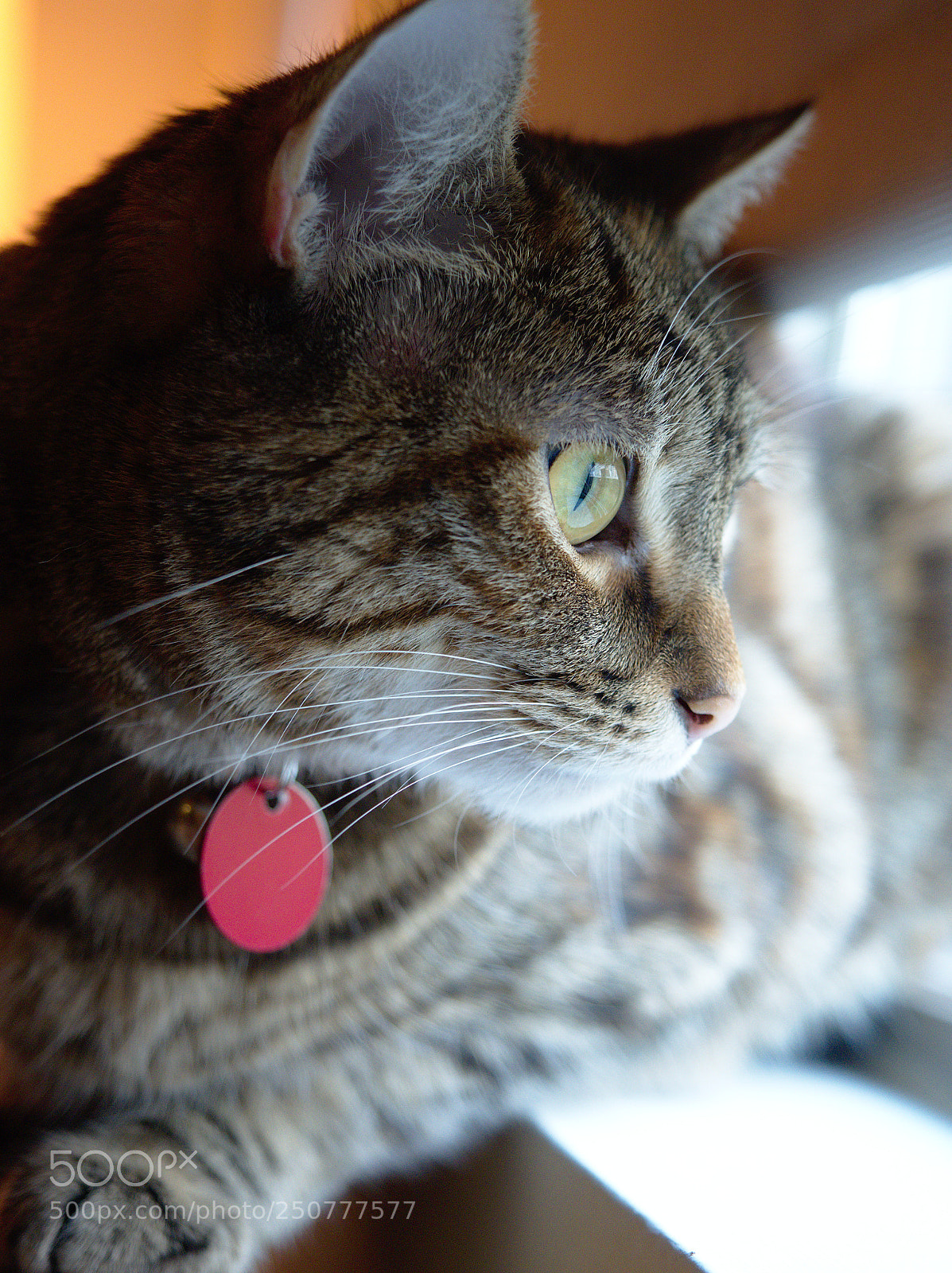 Olympus OM-D E-M5 II sample photo. Test run of om-d photography
