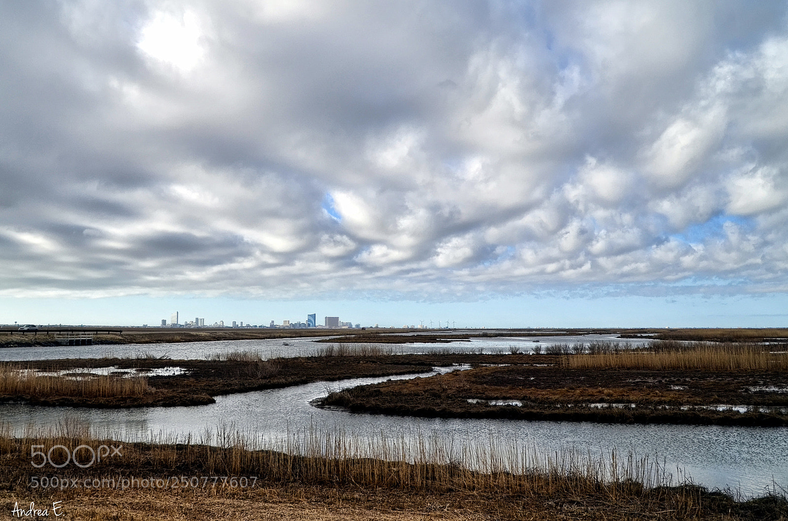 Nikon D7000 sample photo. Good morning from the photography