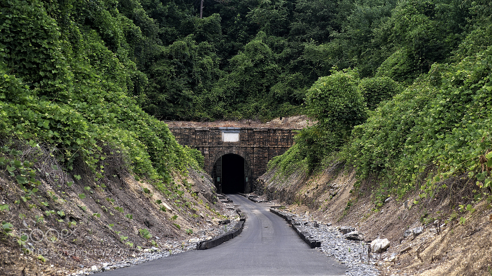 Fujifilm X-E1 sample photo. The tunnel in the photography